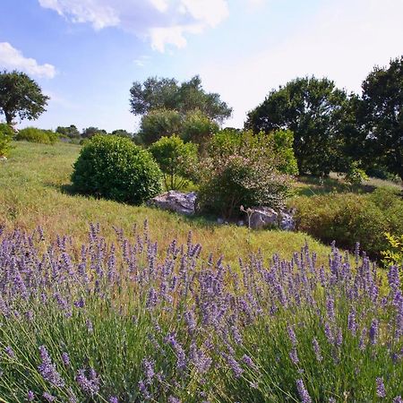 Podere Papilio Alberobello Eksteriør bilde